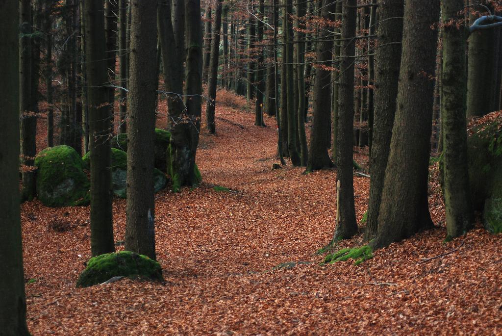 Gasthof Und Pension Haunschmid Rechberg Buitenkant foto