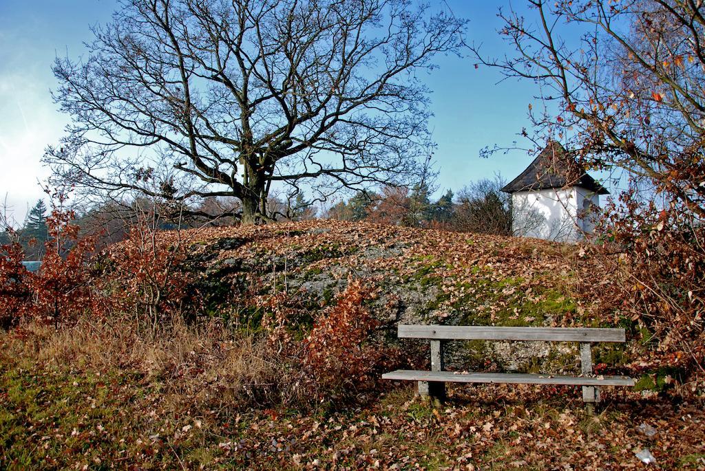 Gasthof Und Pension Haunschmid Rechberg Buitenkant foto